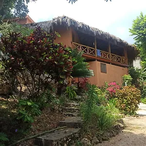 La Casa Del Arbol Las Galeras