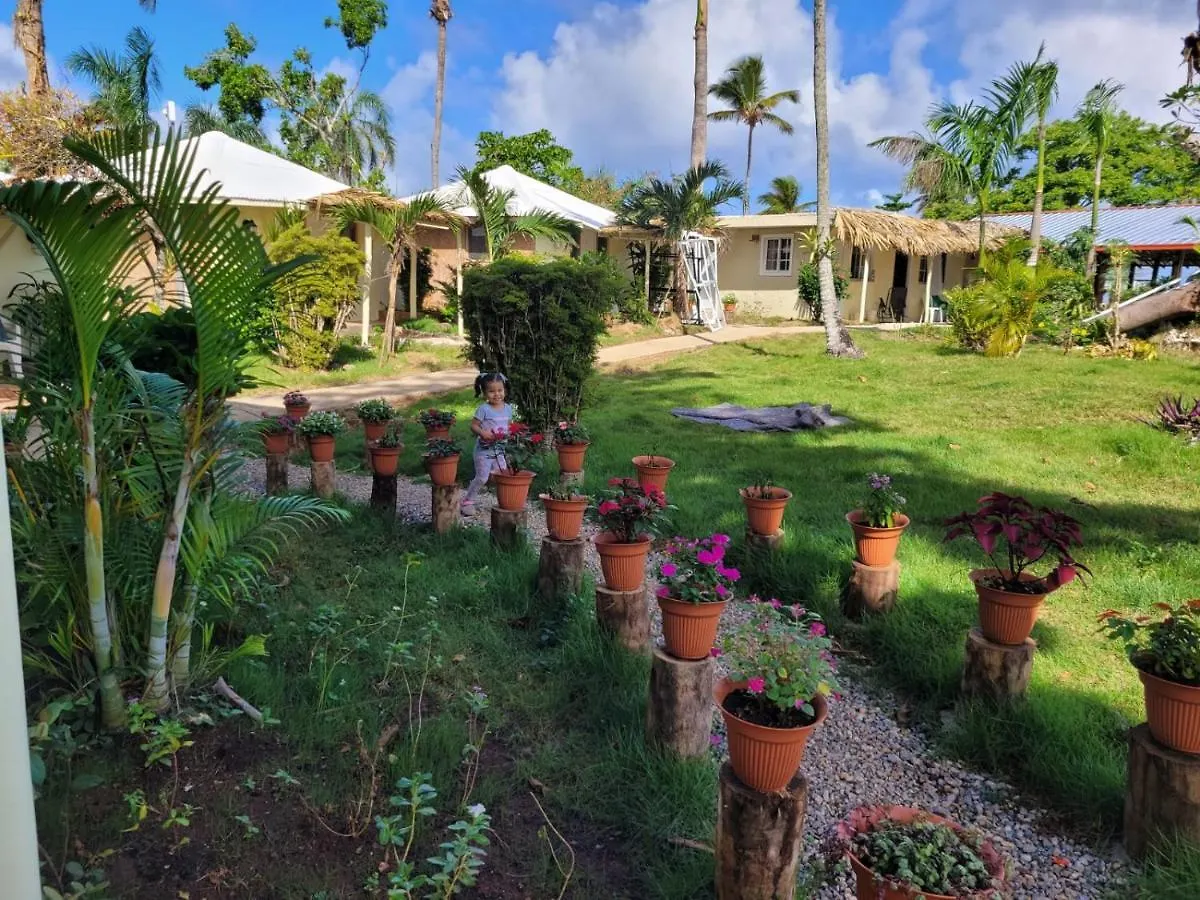 Arena Oceanview Hotel & La Terraza Restaurant Las Galeras Dominican Republic