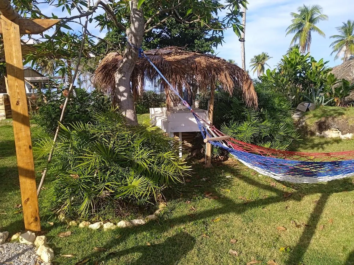 Arena Oceanview Hotel & La Terraza Restaurant Las Galeras Dominican Republic