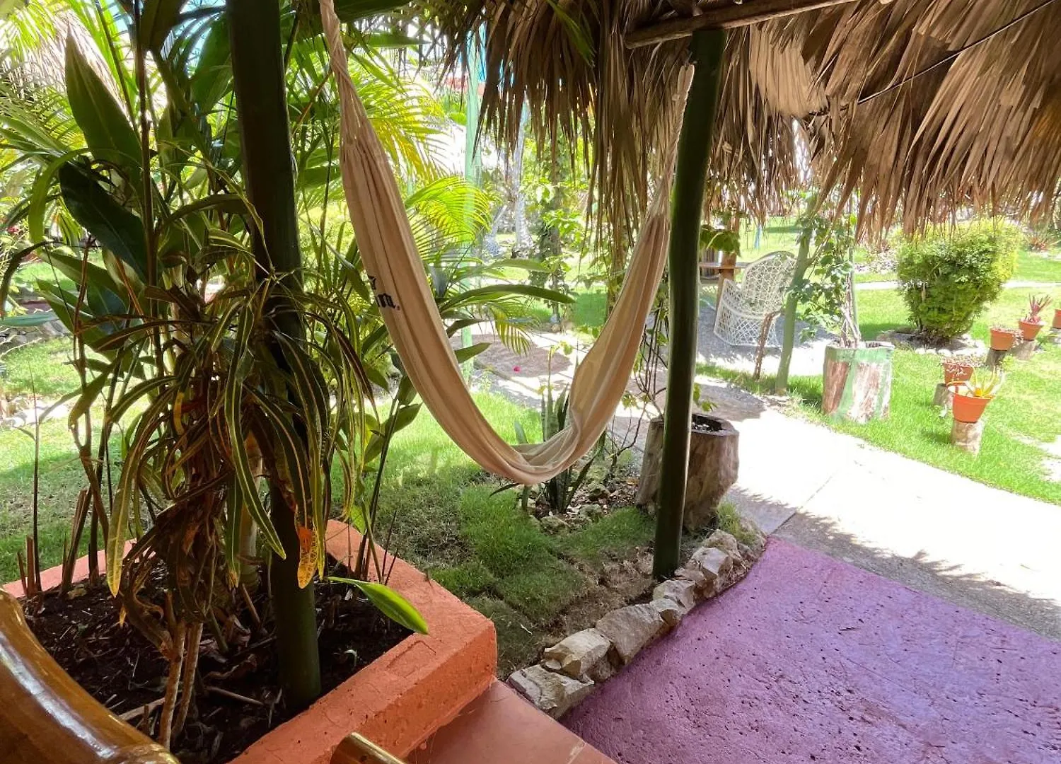 Arena Oceanview Hotel & La Terraza Restaurant Las Galeras Dominican Republic